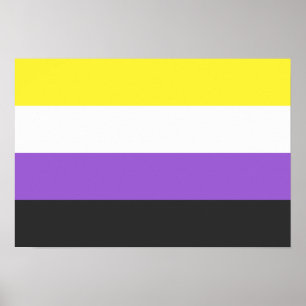 Non-Binary Pride vlag Poster
