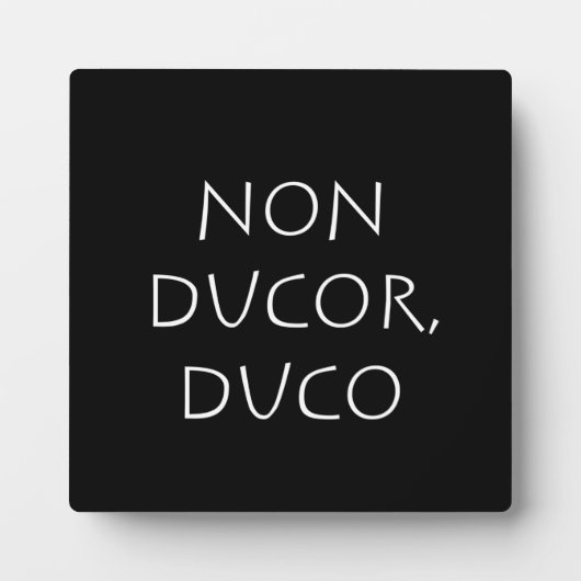 Non-ducor duco fotoplaat (Voorkant)