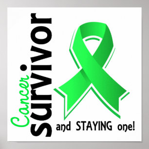 Non-Hodgkin lymfoom Survivor 19 Poster
