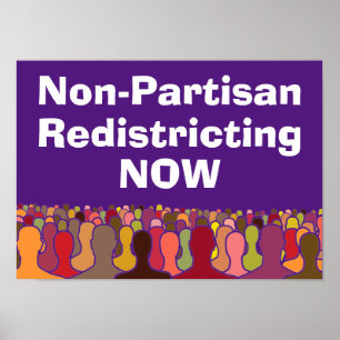 Non-Partisan Recomarting nu Poster