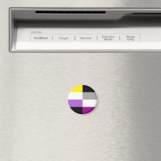 Nonbinary Asexual Dual Pride Flag Magneet (Insitu (Vaatwasser))