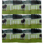 Nonesuch at Cedar Point Douchegordijn (Voorkant)