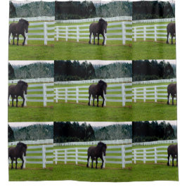 Nonesuch at Cedar Point Douchegordijn