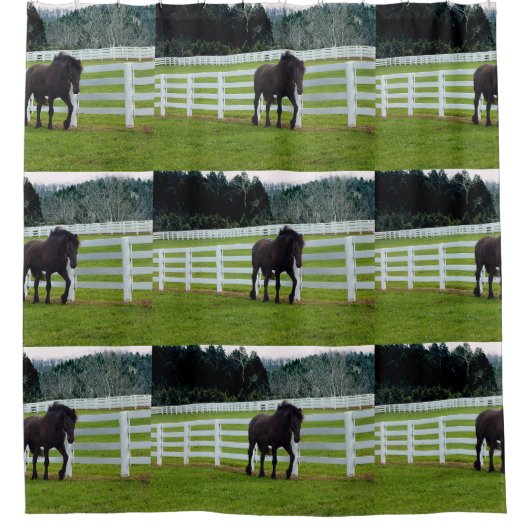 Nonesuch at Cedar Point Douchegordijn (Voorkant)