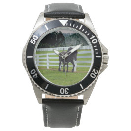 Nonesuch at Cedar Point  Horloge