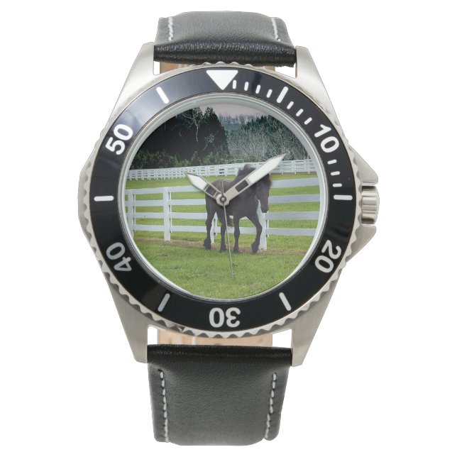 Nonesuch at Cedar Point  Horloge (Voorkant)