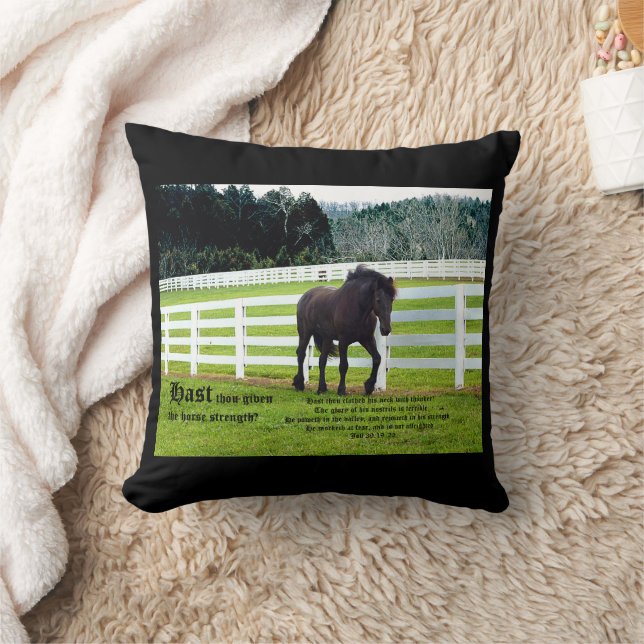 Nonesuch at Cedar Point w Job 39 Kussen (Deken)