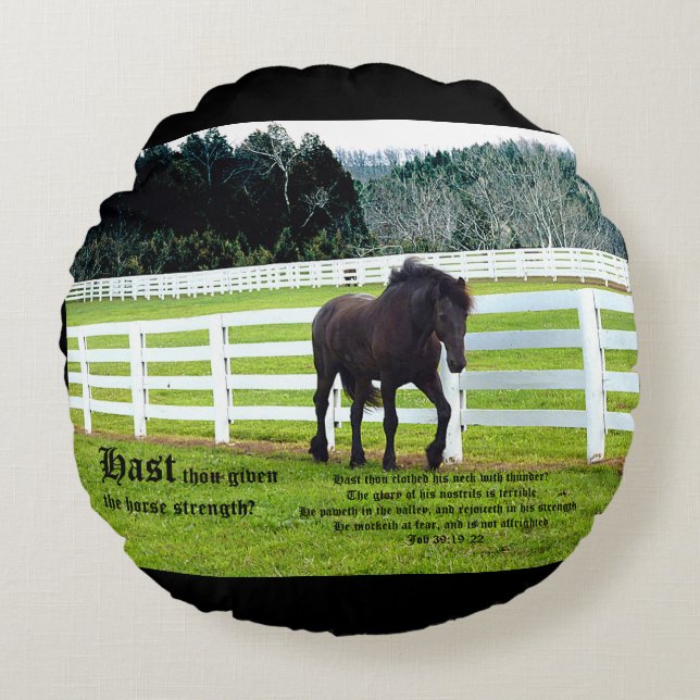 Nonesuch at Cedar Point w Job 39 Rond Kussen (Voorkant)