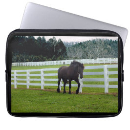 Nonesuch bij Cedar Point Laptop Sleeve