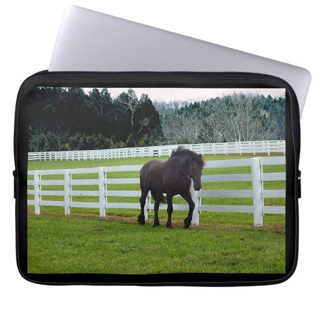 Nonesuch bij Cedar Point  Laptop Sleeve (Voorkant)