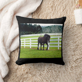 Nonesuch op Cedar Point Kussen