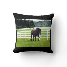 Nonesuch op Cedar Point