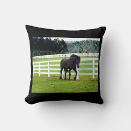 Nonesuch op Cedar Point Kussen