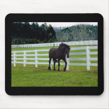 Nonesuch op Cedar Point