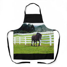 Nonesuch op Cedar Point Schort