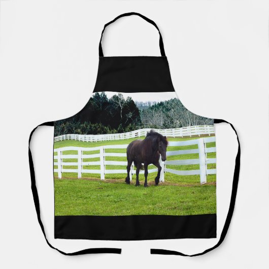 Nonesuch op Cedar Point Schort (Voorkant)