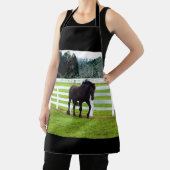 Nonesuch op Cedar Point Schort (Insitu)