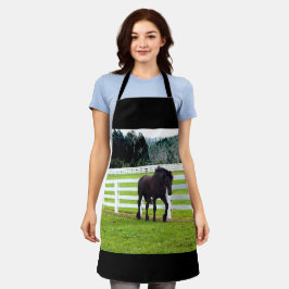 Nonesuch op Cedar Point Schort