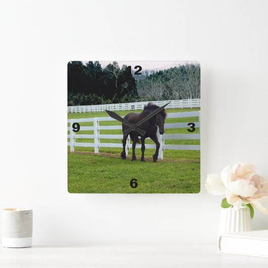 Nonesuch op Cedar Point Vierkante Klok (Huis)