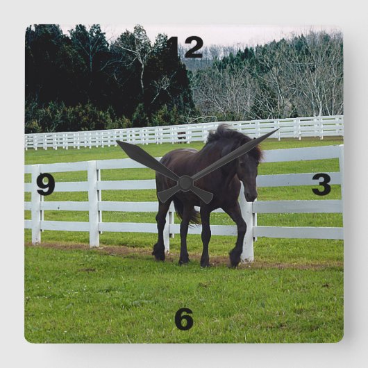 Nonesuch op Cedar Point Vierkante Klok (Voorkant)