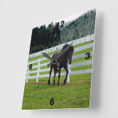 Nonesuch op Cedar Point Vierkante Klok (Hoek)