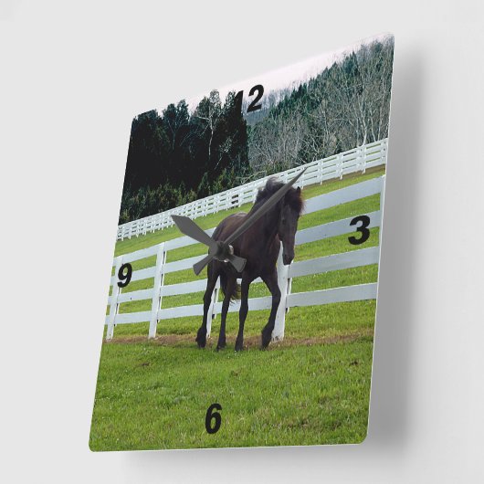 Nonesuch op Cedar Point Vierkante Klok (Hoek)