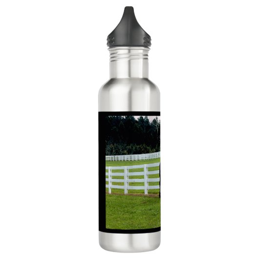 Nonesuch op Cedar Point Waterfles (Links)