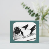 nonnen. 1980 briefkaart (Staand voorkant)