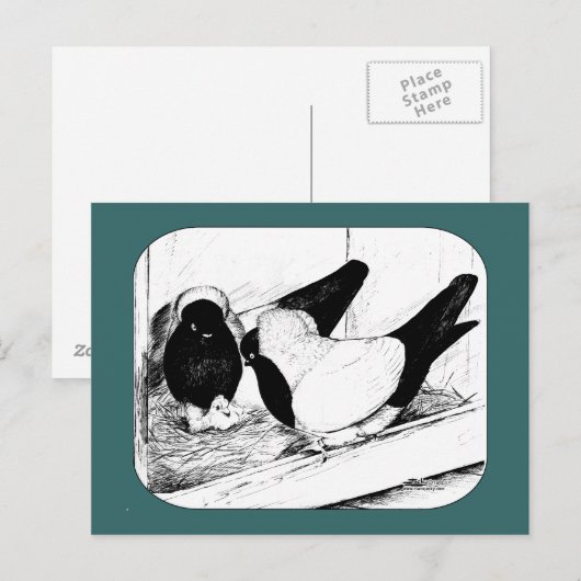 nonnen. 1980 briefkaart (Voorkant / Achterkant)