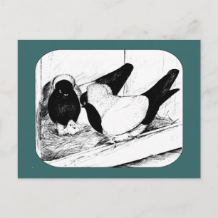 nonnen. 1980 briefkaart