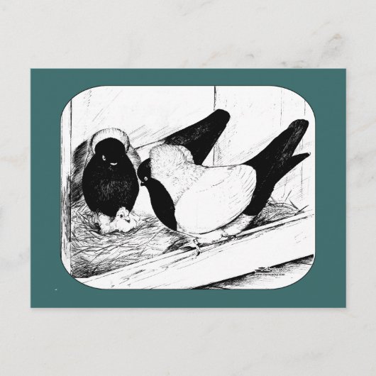 nonnen. 1980 briefkaart (Voorkant)