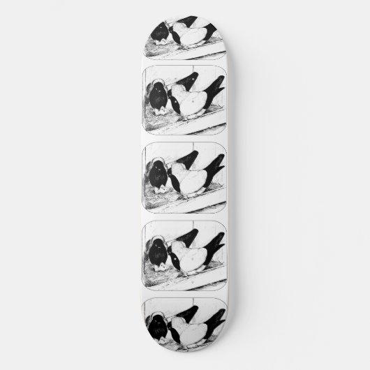 nonnen. 1980 skateboard (Voorkant)