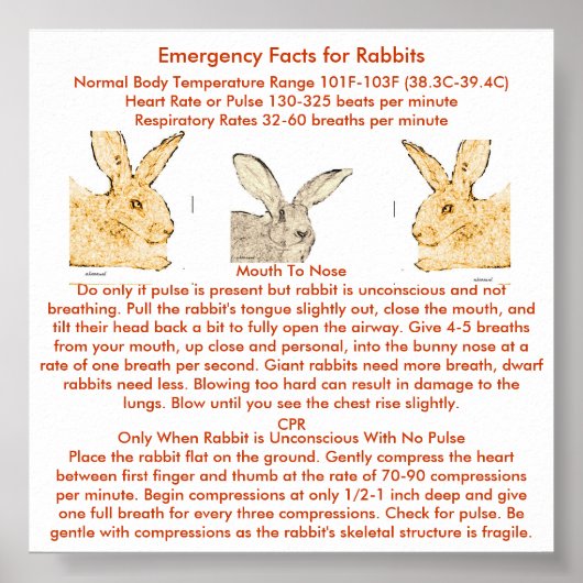 Noodgegevens voor Vlaamse reuzenkonijnen Poster (Voorkant)