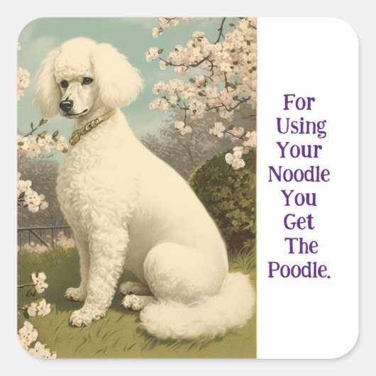 Noodle Poodle Sticker (Voorkant)