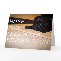 Noodle wil dat je groter bent