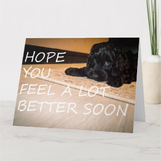 Noodle wil dat je groter bent kaart