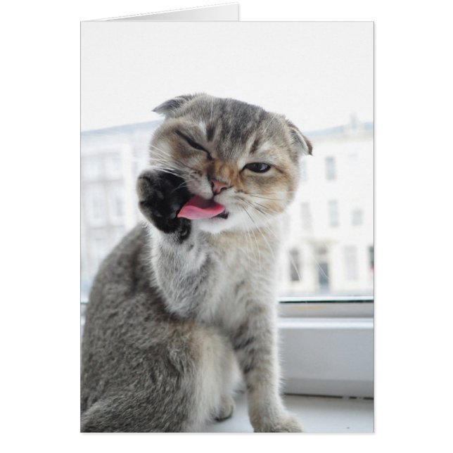 Noodles Star Trek (Voorkant)