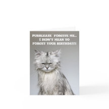 NoodlesChillaxingCat Verlate Verjaardag