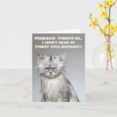 NoodlesChillaxingCat Verlate Verjaardag Kaart (Gele Bloem)