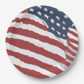 Noodlijdende US Flag Design Papieren Bordje (Voorkant)