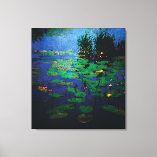 Noodlijdende Waterlelie Bloemen op Water in Moeras Canvas Afdruk (Voorkant)