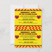 Noodmelding Mijn pakket is alleen thuiskaarten Kaart (Voorkant)