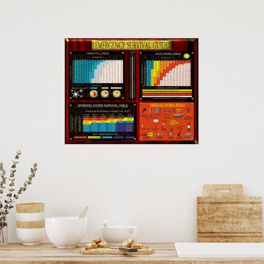 NOODOVERLEVINGSGIDS POSTER (Keuken)