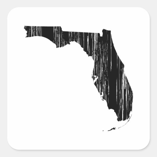 Noodtoestand Florida State Outline Vierkante Sticker (Voorkant)