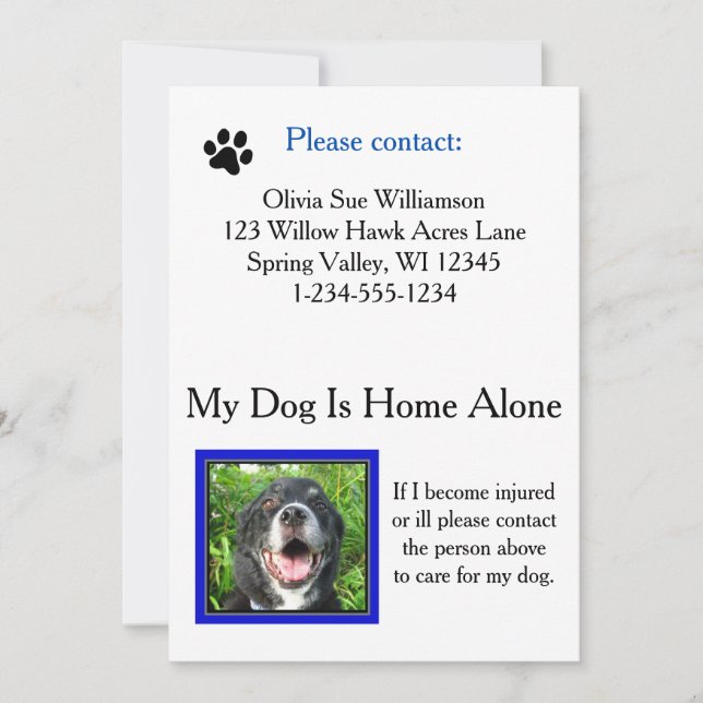 Noodzakje (Dog) Zorgportefeuille Kaart (Voorkant)