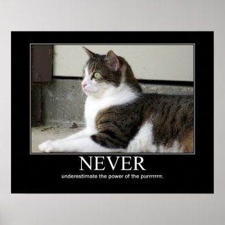 Nooit Cat Artwork onderschatten Poster