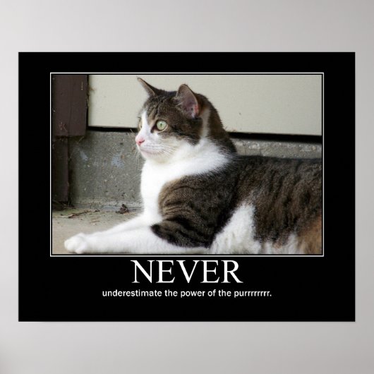 Nooit Cat Artwork onderschatten Poster (Voorkant)