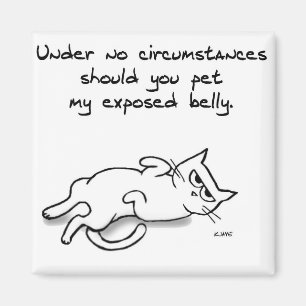 Nooit de kat Belly - grappige kat-fridge Magnet