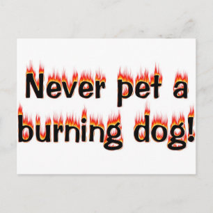 Nooit een brandende hond bevoed! briefkaart