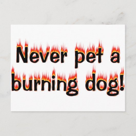 Nooit een brandende hond bevoed! briefkaart (Voorkant)